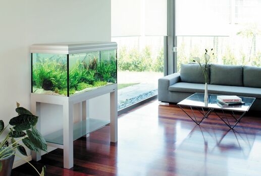 Unser Aquarium - 42m² - Raum 5